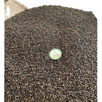 Zwarte peper 580/570/550/500 AD Gebakken Gedroogde Kruiden ISO Gecertificeerd 100% Graad AA Export Vietnam Contact Mr. Henry +84 368591192