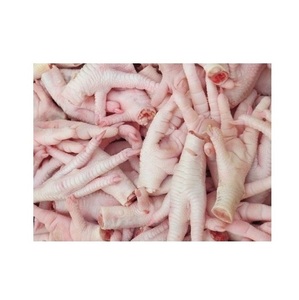 ไก่แช่แข็งส่งออก ตีนไก่แช่แข็ง / เท้าไก่แช่แข็ง - Product Image 1