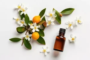 Aceite Esencial de Neroli de Primera Calidad, Útil para Tratar Granos y Acné, Aceite Esencial de Proveedor Indio - Product Image 5