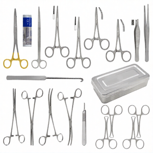 Kit de stérilisation féline de 22 pièces avec boîte en acier inoxydable, ensemble d'instruments chirurgicaux vétérinaires pour la stérilisation des chats et les cliniques - Product Image 1