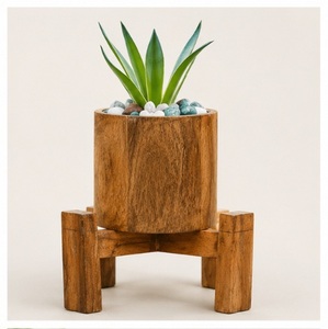 Soporte Moderno para Plantas de Madera, con Macetero de Madera de Mango Sólida, Ecológico, para Interiores, para Escritorio y Sala de Estar - Product Image 5