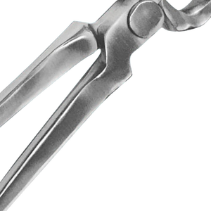 Coupe-ongles pour chevaux en acier inoxydable de qualité supérieure, durable, artisanal, instrument vétérinaire, soin des sabots, coupe des sabots - Product Image 3