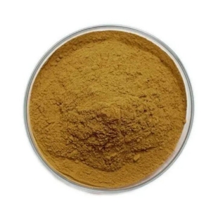 Poudre de racine de pissenlit 100% pure pour tisanes, poudre de pissenlit en vrac pour boissons bien-être, mélanges de thés, smoothies, recettes détox - Product Image 2