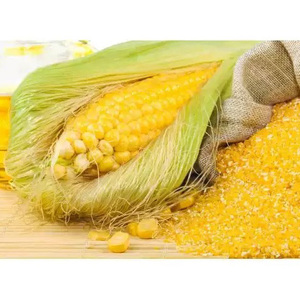 Harina de Gluten de Maíz de Grado Alimenticio, Suministro de Fábrica - Product Image 5