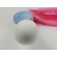 Transducteur ultrasonique transvaginal endocavitaire compatible neuf IC5-9-D pour GE Voluson E6/E8 Expert