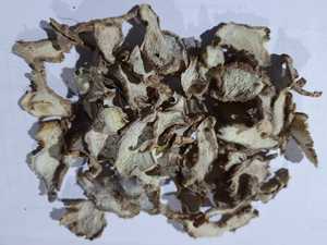 Rodajas de Jengibre Deshidratadas Orgánicas Premium de Sikkim, Grado Alimenticio, Suministro a Granel para Aplicaciones de Té y Procesamiento de Alimentos - Product Image 3