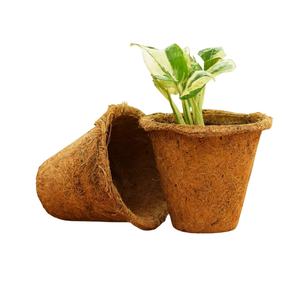 Maceta biodegradable sostenible fabricada con fibra de coco para uso comercial en viveros de Vietnam - Product Image 6