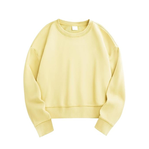 Sweat-shirt ras du cou bleu clair unisexe en molleton de coton coupe oversize, pull décontracté pour l'entraînement et le sport, vente en gros de sweats courts - Product Image 3