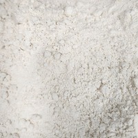 Farine d'orge de qualité supérieure, farine de céréales entières nutritive pour la boulangerie, les boissons et les applications de transformation alimentaire, ODM disponible