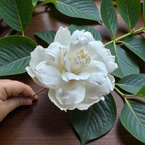 ดอกไม้โซล่าวู้ด VADEE SOLA WOOD FLOWER ทำมือ ดอกกุหลาบสีงาช้างที่ยั่งยืนได้ ขนาด 8.5 ซม. ทำจากเส้นใยพืชเซสบานียา จากประเทศไทย - Product Image 1
