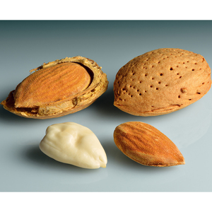 Amandes en noyaux/Amandes de qualité supérieure/Amandes sans coquille - Product Image 1