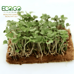 Tapis de culture carré pré-découpé en fibre de coco pour semis de micro-pousses en intérieur, substrat végétal naturel, taille personnalisée, coco microgreen - Product Image 1