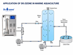 เครื่องกำเนิดโอโซนอุตสาหกรรม 200 กรัม/ชม. Dr.Ozone D200S สำหรับกำจัดกลิ่น ฟอกอากาศ และบำบัดน้ำ – ราคาโรงงาน OEM - Product Image 5
