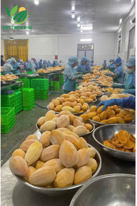 Mangues vietnamiennes surgelées IQF, 100% mangues fraîches biologiques, emballage en vrac, prix bas - Product Image 6