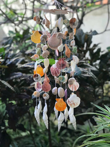 กระดิ่งลมเปลือกหอย2025ได้รับการออกแบบอย่างสวยงามงานฝีมือระดับพรีเมียมสำหรับการตกแต่งกลางแจ้งและชายหาด - Product Image 4