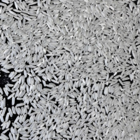 Riz blanc dur à grains longs Jasmine Royal de Thaïlande