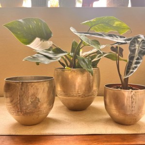 Juego de 3 Macetas Decorativas de Latón Antiguo para Jardín, Diseño Ovalado Tradicional, Diseño Personalizado, Estilo Rústico - Product Image 5