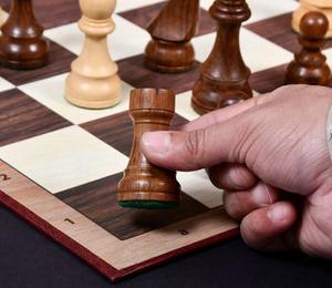 Échecs de tournoi professionnels Staunton, pièces de 3,75 pouces, design chevalier allemand, au meilleur prix - Product Image 2