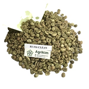 Granos de Café Verde Robusta Vietnamita 12.5% Humedad Sabor Amargo 2 Años de Vida Útil Yute WA +84 35 254 2206 - Product Image 6