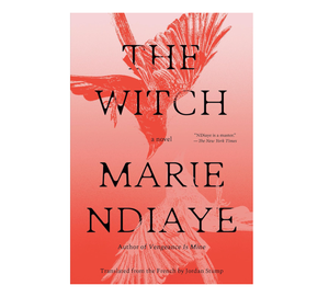 La Bruja: Una Novela de Marie NDiaye, Edición en Rústica (Suministro al por Mayor) - Product Image 3