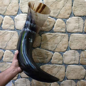 Corne à boire en os de bœuf de grande qualité - Product Image 3