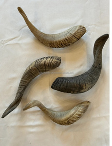 Artesanía de Cuerno de Oveja Natural Tallada de SANIYA HANDICRAFT, Artesanía Folclórica, Tamaño Pequeño, Alta Calidad - Product Image 3