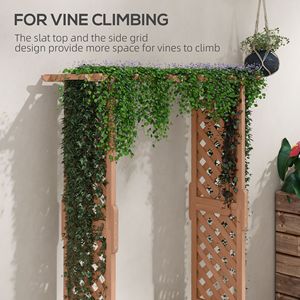 Fioriera da Esterno in Legno Alta 180 cm con Tetto a Traliccio per Piante Rampicanti e Fiori Pendenti - Elegante Design per Orto Rialzato - Product Image 5