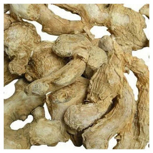 Proveedor mundial de jengibre seco para empresas de especias, procesadores de alimentos e industrias de hierbas. - Product Image 1