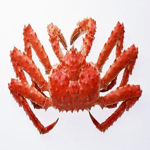 Crabes royaux entiers congelés de qualité supérieure avec œufs coupés, riches en protéines, vente en gros de fruits de mer, achetez en ligne, livraison rapide, grandes remises - Product Image 4