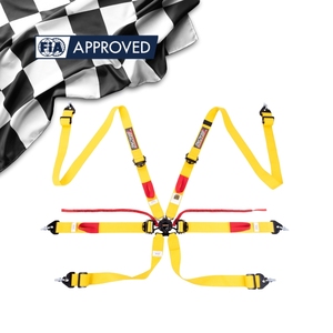Arnés de Seguridad para Carreras de Autos SPORT PLUS 3 Homologado por la FIA 8853 2016, Cinturón de 6 Puntos con 16 Opciones de Color Estándar - Product Image 3