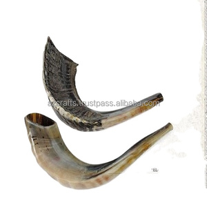 Cuerno Kosher Ram Shofar de Israel Shofar tradicional completamente pulido en estilo Animal - Product Image 6