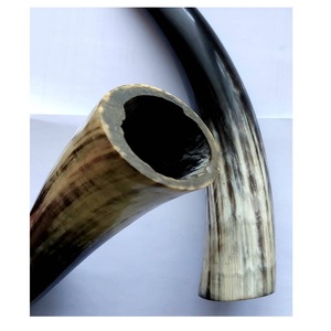 Polished Buffalo Horn Natural decorative items Animal Theme Durable Handcrafted Eco Friendly - Product Image 1