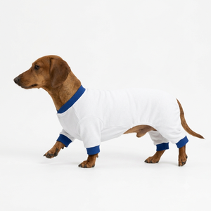 OEM <b>Pet</b> Pullover Plain Hoodie with <b>Brushed</b> Fleece for Winter Wear Premium Soft Stylish Cute Trendy New Cozy Durable - Product Image 2