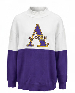 Pull décontracté personnalisé 1903 en coton Alpha Premium écologique DST Sorority, pull universitaire grec Chi Zeta - Product Image 1