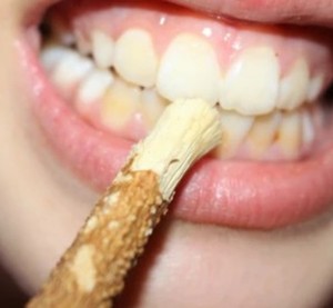 Bâtonnets de Miswak Naturels Premium pour Soins Dentaires Traditionnels – Bâtonnets de Nettoyage Buccal Écologiques pour l'Hygiène Quotidienne Personnelle - Product Image 4