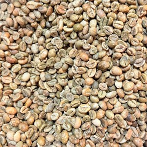 Venta al por Mayor de Granos de Café Robusta Vietnamita, Naturales, Limpios, con Sabor a Miel, Granos Crudos de Alta Calidad con Etiquetas Personalizadas - Product Image 3