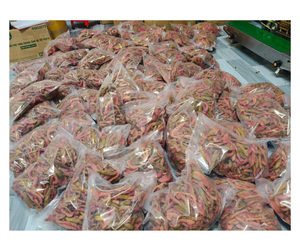 Dried Guava Slices 100% Organic Vacuum Pack 10kg <b>Sour</b> & <b>Sweet</b> Taste Healthy Snack Bulk Wholesale Price 2026 - Product Image 1