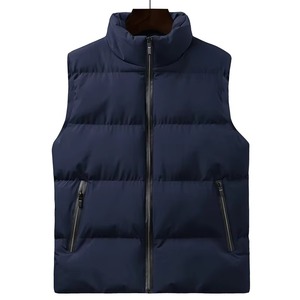 Gilet matelassé léger en duvet et coton pour homme – Idéal pour le quotidien en hiver - Product Image 1
