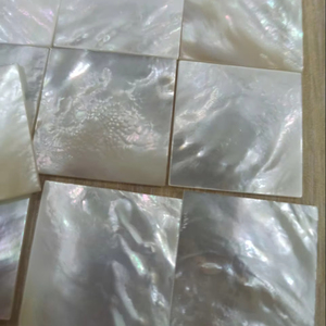 Piezas de Madreperla de Diferentes Tamaños para Suministros de Joyería Artesanal - Product Image 1