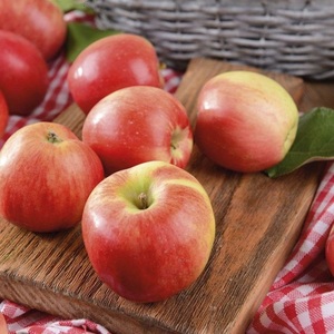Pomme Fuji fraîche de la ferme avec une fraîcheur exceptionnelle, une peau brillante, une douceur naturelle et une qualité de fruits soigneusement sélectionnée - Product Image 1