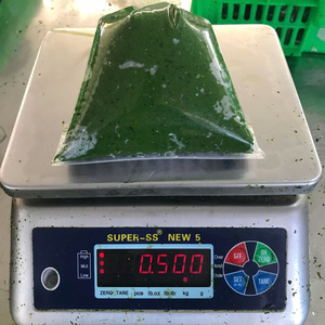 Feuilles de manioc congelées, déchiquetées, légumes verts naturels pour l'industrie alimentaire, vente en gros, approvisionnement en vrac, qualité d'exportation internationale - Product Image 3