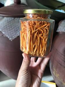 Cordyceps militaris แช่แข็งแห้งสำหรับแบรนด์อาหารเสริม - Product Image 5