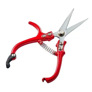 Kwang Hsieh Hot Sell Flower Cutting Scissors Style Grape Cuttings