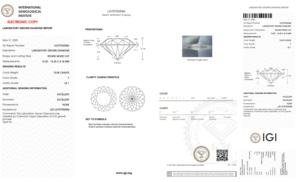 Diamant de laboratoire Ilois 10.09CT, taille ronde mixte, couleur F, clarté VS1, type CVD IIa, certifié IGI pour la fabrication de bijoux - Product Image 5