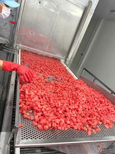 Pastèque Sucrée Congelée en Cubes, Format Bloc, pour Jus et Transformation Alimentaire, Conditionnement en Vrac - Product Image 5