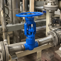 Vanne à soupape sphérique en acier forgé, classe 1500, haute pression, haute température, manuelle, à souder bout à bout, pour centrales électriques et services industriels