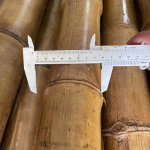 โรงงานเวียดนามจำหน่ายเสาไม้ไผ่ธรรมชาติสำหรับงานก่อสร้างและเฟอร์นิเจอร์ ผู้ผลิตและผู้ส่งออกจำนวนมาก - Product Image 1