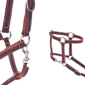 Cabestro Ecuestre Premium de Nailon y Cuero con Diseño Estampado, Banda Nasal Acolchada de Piel Sintética y Correas para las Mejillas - Product Image 5