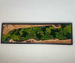 Mosaico de pared de madera Wildwood, arte de musgo Nature Nexus, decoración de pared de madera rústica con follaje, arte colgante con marco rectangular - Product Image 1
