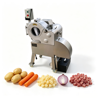 Automatische elektrische aardappel-, wortel-, radijs- en komkommer-snijmachine voor voedingsmiddelenfabrieken